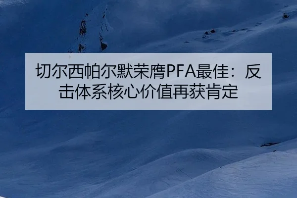 qie-er-xi-pa-er-mo-rong-ying-zui-jia-fan-ji-ti-xi-he-xin-jia-zhi-zai-huo-ken-ding-3-227.jpg